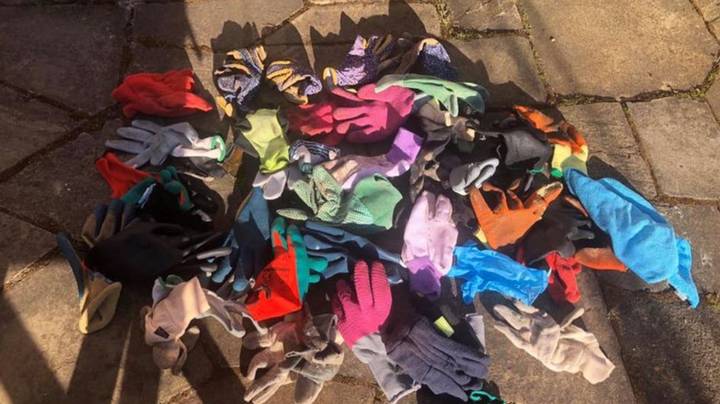 Tricky Cat Steals More Than 50 Gloves From Neighbours' & #x 27; Gardens