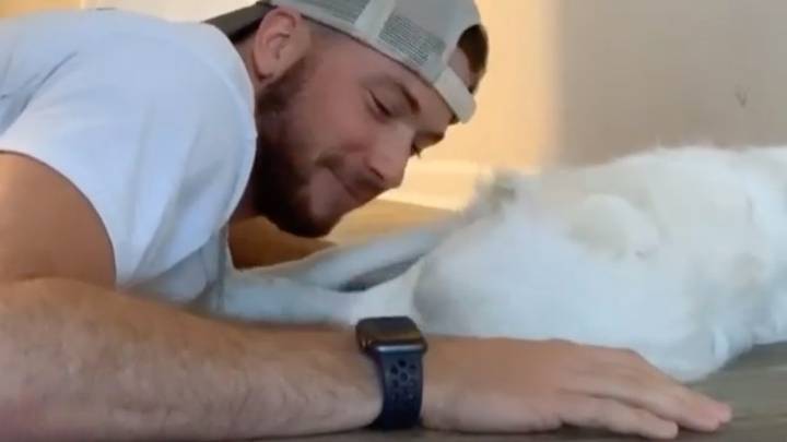 Proprietor Shares Adorable Way He Wakes Up His Deaf And Blind Dog