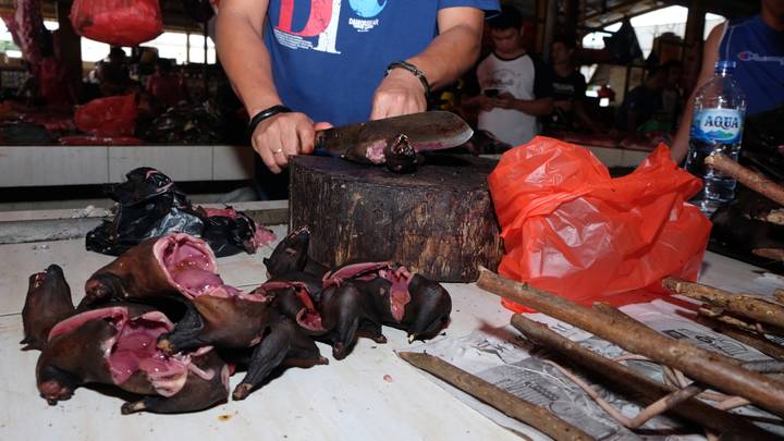 Wet Markets In Indonesia Are Still Open Despite Links To Coronavirus