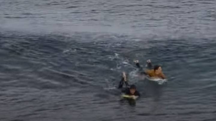 Video Footage Shows Moment Surfer Is Stalked In Water Before Attack