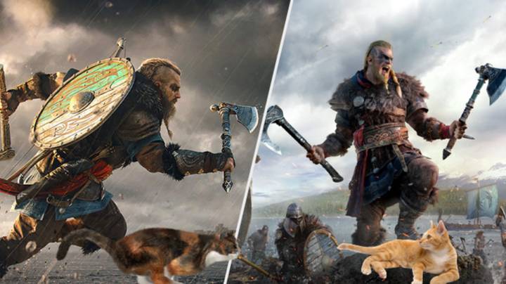 Evidently Vikings Took Their Cats Into Battle – Your Move, Ubisoft